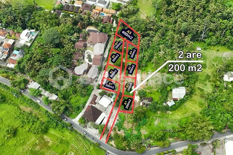Prime Freehold 200 sqm Land for Sale in Ubud – Kangetan – Ideal Investment Opportunity