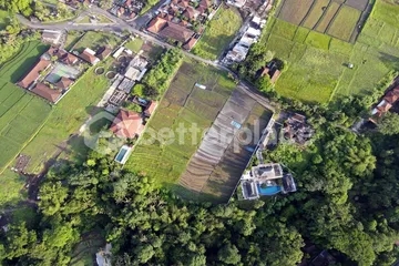 Exclusive Leasehold 4200 sqm Land in Buwit, Tabanan – Perfect for Luxury Villas or Boutique Development