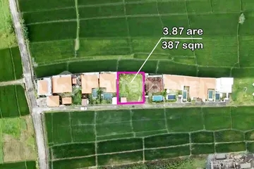 Rare Leasehold Opportunity: Stunning 387 sqm Plot in Canggu–Seseh, Perfect for Villa or Boutique Hotel Development