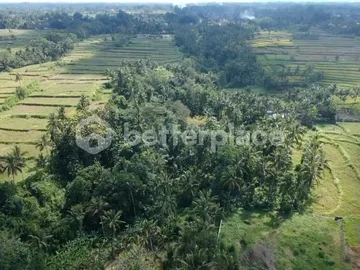 Prime Leasehold Land for Sale in Goa Gajah, Ubud – Includes Villa Project Design