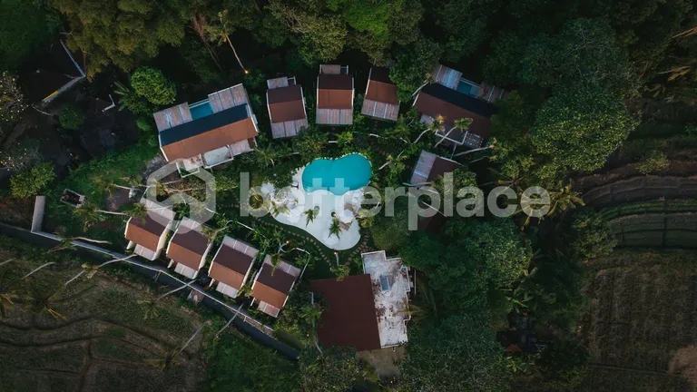 Tropical Villas and Wellness Hideaway in Kedungu