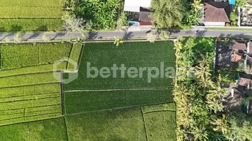 A Visionary Investment in Bali’s Emerging West – Expansive Leasehold 16.5 are Land Framed by Rice Fields, Sunrise Skies, and Mount Agung