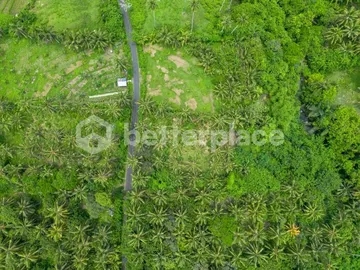 Discover Peaceful Living in Bali – Stunning 2,990 sqm Freehold Land in Balian with Lush Jungle and River Views