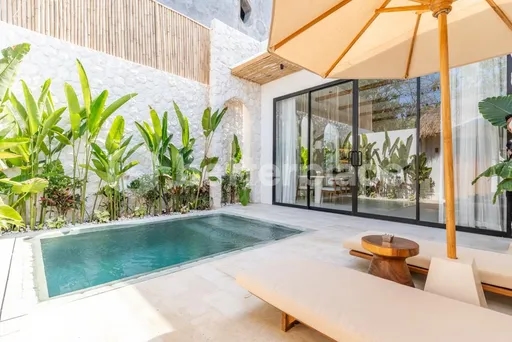 Investment Potential, Modern One Bedroom Villa in Bingin