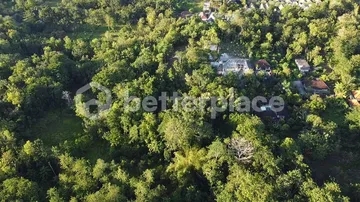 1400 Sqm Land for Sale in Pecatu – 7 Minutes to the Beach