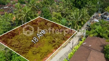 Prime Hospitality-Ready Land in the Heart of Sayan, Ubud
