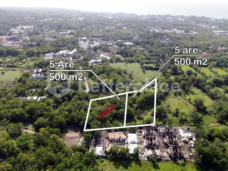 High Return Investment: Prime Bali Leasehold 500 sqm Land in Sought-After Bingin