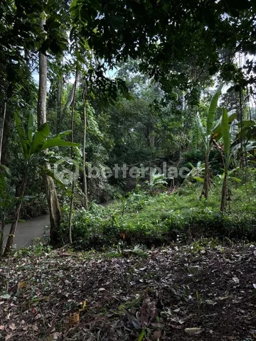 780 Sqm Land Riverside Land with Jungle Views in Tumbak Bayuh