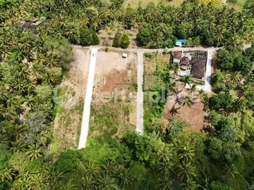 Freehold Jungle Sanctuary in Balian – 200 sqm Land Just Minutes from the Beach, Perfect for Your Dream Villa or Investment