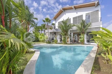 Exquisite 2024 Built Villa with Private Pool in North Canggu
