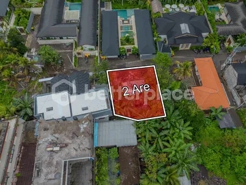 2 Are Freehold Land in Pejeng – Strategic Ubud Location