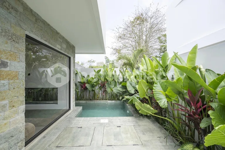 Stunning One Bedroom Villa Strategically Located in Bingin