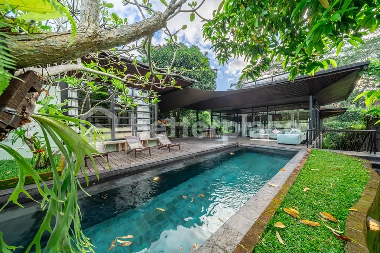 Spacious and Modern 4 Bedroom Villa Retreat in Ubud