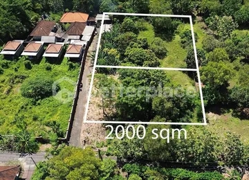 Prime Investment Opportunity, Unveiling the Potential of Nyang-Nyang’s Serene 10 Are Gem