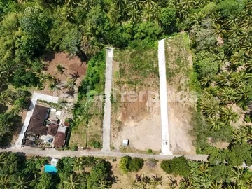 Affordable Bali Properties for Sale – Freehold Jungle-View Land Just Minutes to the Famous Balian Beach
