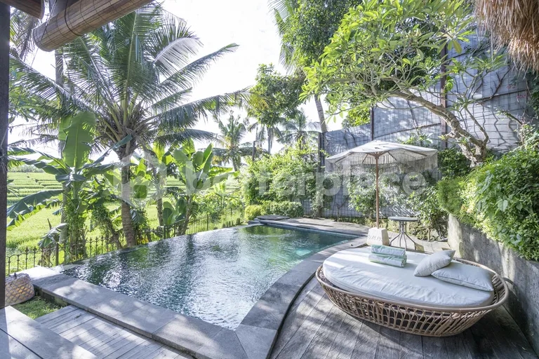Private Oasis with Pool and Garden with Breathtaking Rice Field Views in Canggu – Babakan