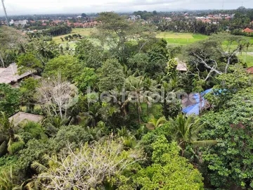 Extraordinary Property in The Heart of Ubud