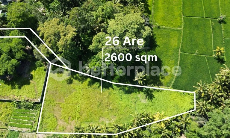 Exclusive 2600 sqm Land with Mesmerizing Rice Field Views in Mas, Ubud