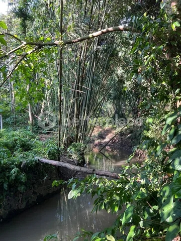 Nature Backed 675 Sqm Land in Tumbak Bayuh with Unique Villa Project – 10 Minutes to Pererenan Beach