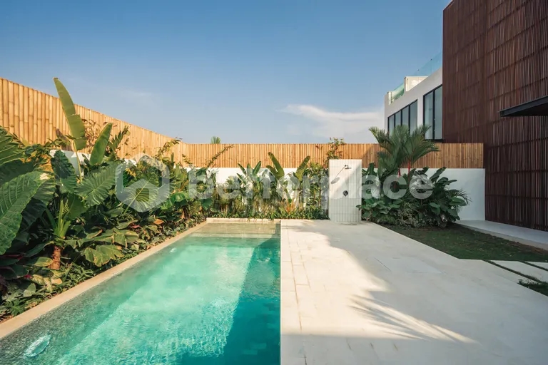 Gorgeous and Luxury 3 Bedroom Villa in Canggu