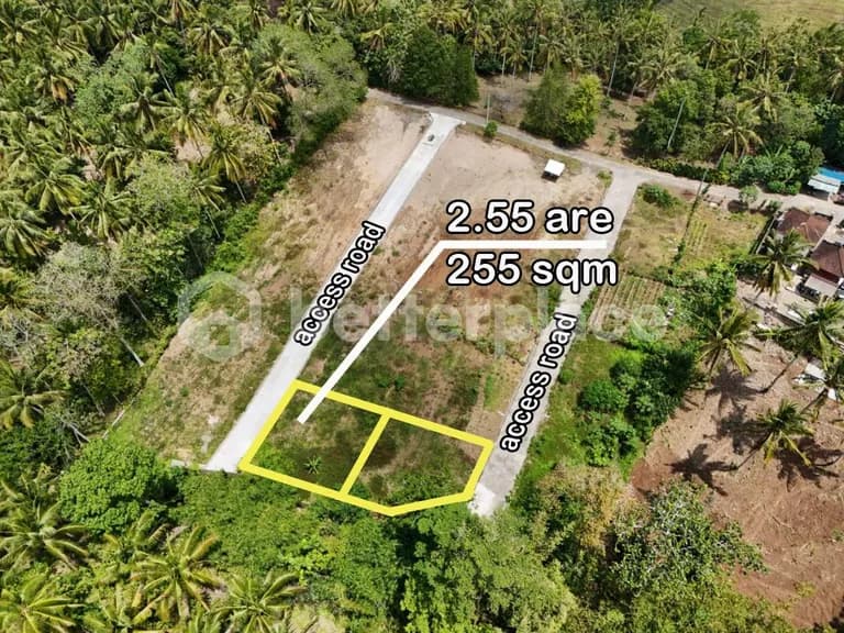 Affordable Bali Properties for Sale – Freehold Jungle-View Land Just Minutes to the Famous Balian Beach