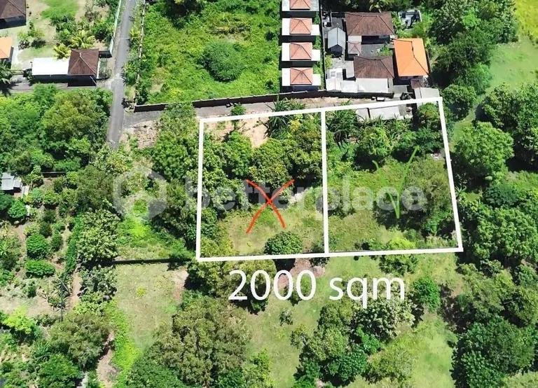 Prime Investment Opportunity, Unveiling the Potential of Nyang-Nyang’s Serene 10 Are Gem