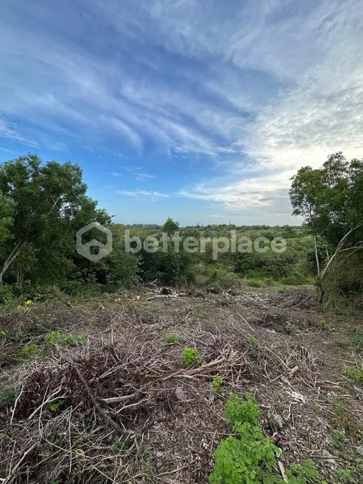 Investment Opportunity, Prime Freehold Land in Ungasan