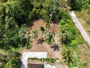 Freehold Jungle Sanctuary in Balian – 200 sqm Land Just Minutes from the Beach, Perfect for Your Dream Villa or Investment