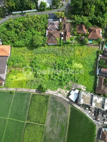 Ocean Panorama: Uninterrupted Views That Inspire