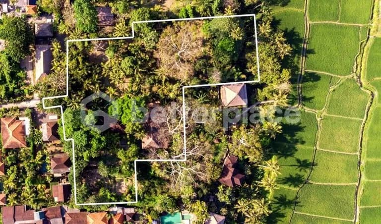 Extraordinary Property in The Heart of Ubud