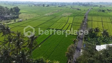 A Visionary Investment in Bali’s Emerging West – Expansive Leasehold 16.5 are Land Framed by Rice Fields, Sunrise Skies, and Mount Agung