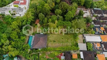 Rare 30 Are Estate with Villa in Peaceful Tumbak Bayuh, Canggu