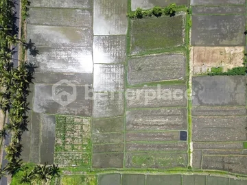 Land of Dreams Unveiled: Leasehold Paradise in Tampih – Kedungu – Craft Your Balinese Escape!