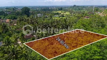 Freehold Land Surrounded by Nature in Sidan, Ubud