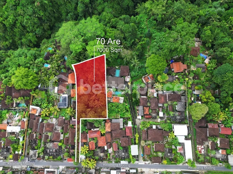 Envision Paradise: Secluded Freehold 70 Are Land in Ubud