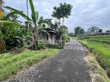 Investment Opportunity, 1,900 sqm Land in Ubud, Pejeng