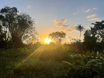 Prime Investment Opportunity, 912 Sqm Land in Munggu