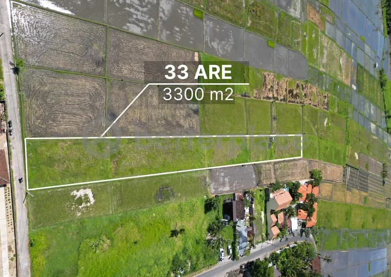 Secluded Paradise Awaits: Leasehold Haven in Kedungu – Craft Your Balinese Dream Retreat!