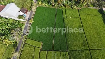 A Visionary Investment in Bali’s Emerging West – Expansive Leasehold 16.5 are Land Framed by Rice Fields, Sunrise Skies, and Mount Agung