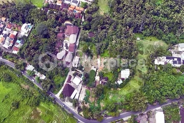 Prime Freehold 200 sqm Land for Sale in Ubud – Kangetan – Ideal Investment Opportunity