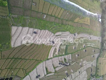 Prime 68.36 Are Pink Zone Land in Cemagi, Ideal for Development, 3 Minutes Away From the Beach