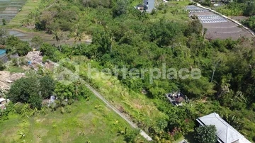 Exceptional Leasehold Land Opportunity in Tumbak Bayuh, Canggu – Stunning Riverfront Property with Rice Field Views