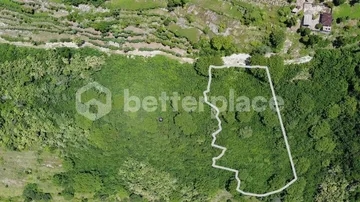 Expansive 5,760 sqm Freehold Land with Jungle Serenity and Panoramic Ocean Views in Batu Nunggul, Nusa Penida