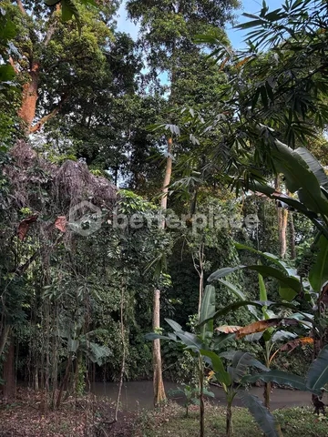 780 Sqm Land Riverside Land with Jungle Views in Tumbak Bayuh