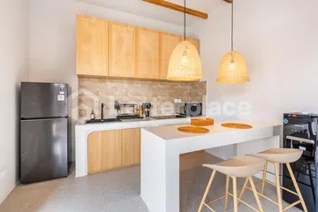 Brand New One Bedroom Villa with Private Pool in Ubud, An Investment Opportunity