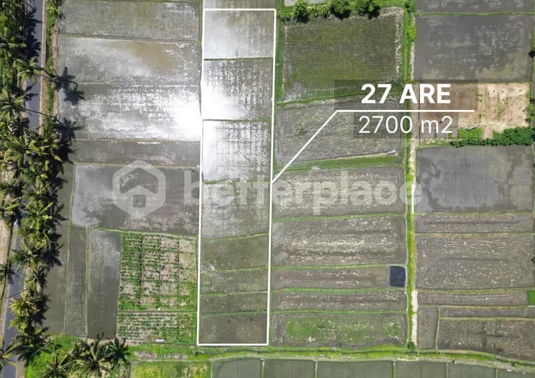 Land of Dreams Unveiled: Leasehold Paradise in Tampih – Kedungu – Craft Your Balinese Escape!