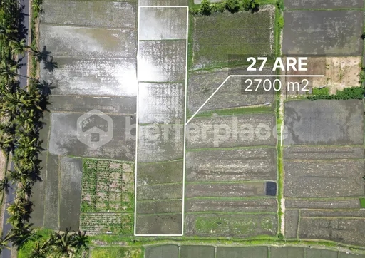 Land of Dreams Unveiled: Leasehold Paradise in Tampih – Kedungu – Craft Your Balinese Escape!