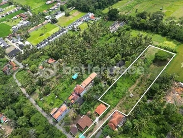 Exclusive Leasehold Land Offering in Ubud Perfect for Development