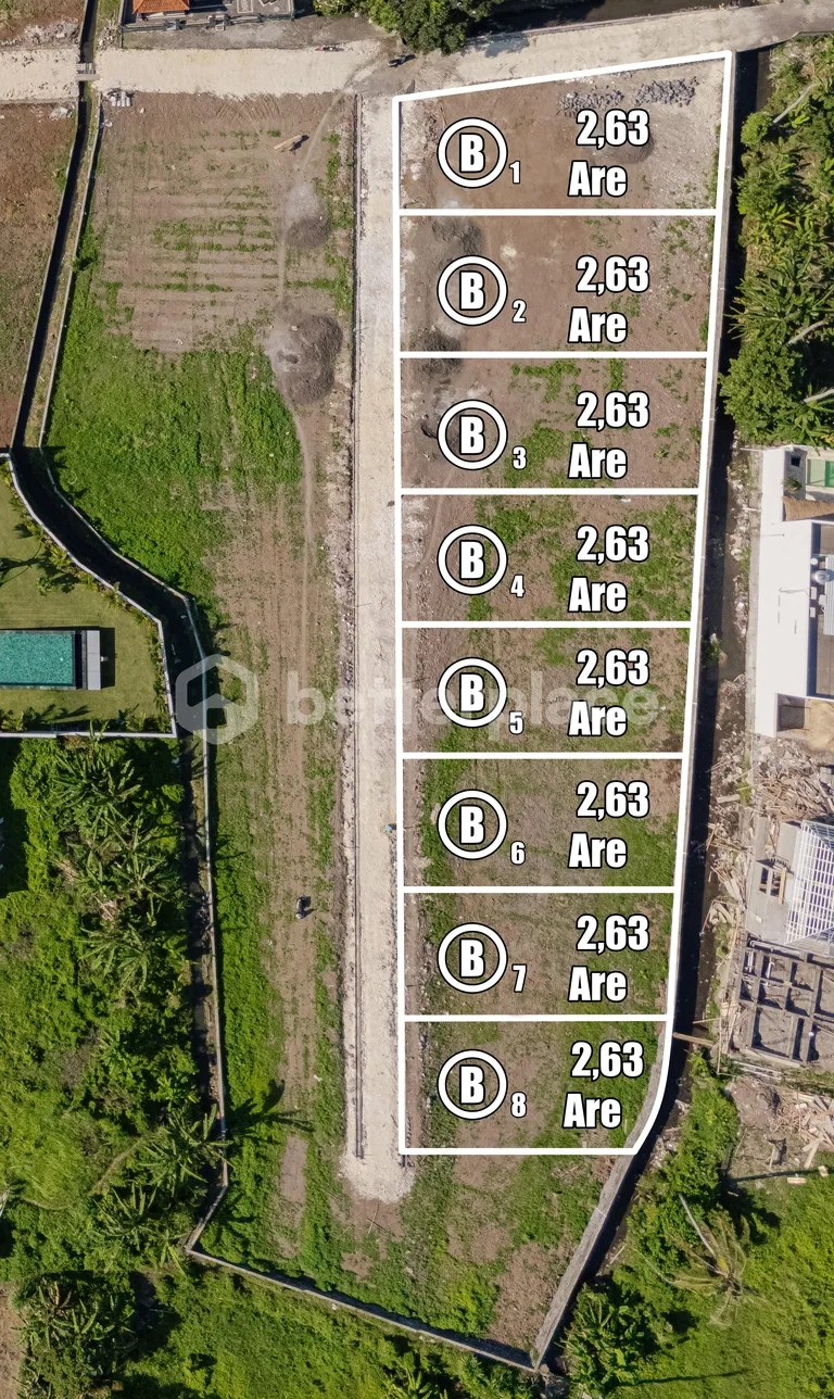 8 Plot Land Near Canggu – Block B of an 83 Are Land Leasehold Opportunity in Buduk