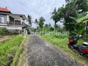 Investment Opportunity, 1,900 sqm Land in Ubud, Pejeng